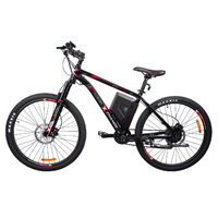Bicicleta PXC Einhell, 2 x 18V Solo E-Bike